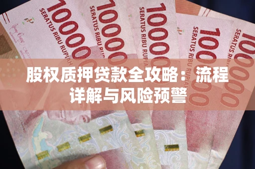 武汉股权质押贷款全攻略：流程详解与风险预警