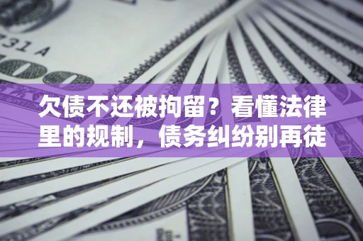 武汉欠债不还被拘留？看懂法律里的规制，债务纠纷别再徒劳奔波