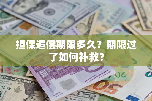 武汉担保追偿期限多久？期限过了如何补救？