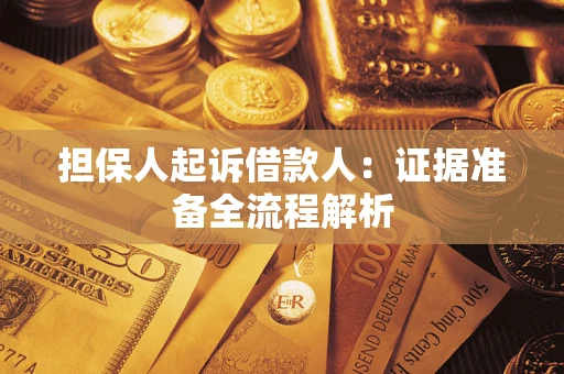 武汉担保人起诉借款人：证据准备全流程解析