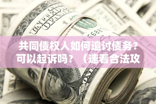 武汉共同债权人如何追讨债务？可以起诉吗？（速看合法攻略）