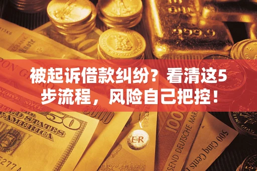 武汉被起诉借款纠纷？看清这5步流程，风险自己把控！