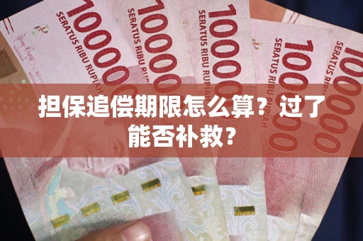 武汉担保追偿期限怎么算？过了能否补救？
